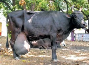E_1505853302